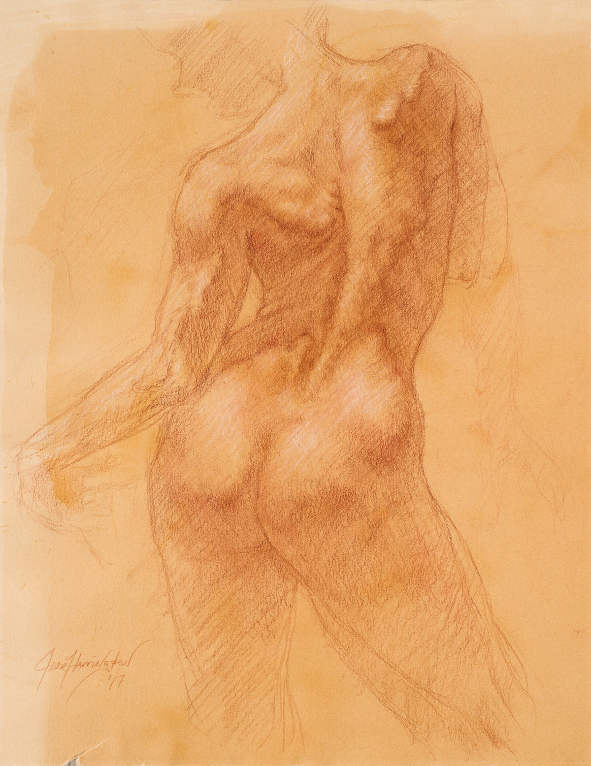 Hand Drawn image of a nude female model from behind